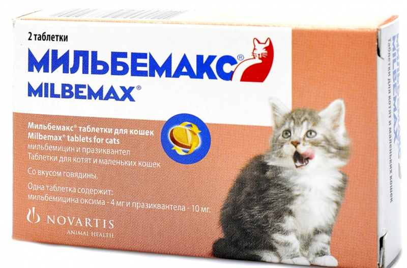 Мильбемакс для котят: инструкция по применению, дозировка, состав, аналоги таблеток от глистов