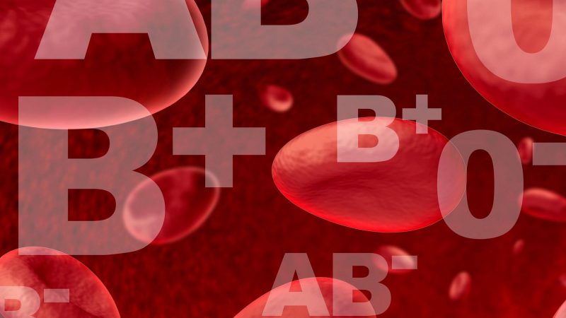 Диета по группе крови: основные принципы, автор диеты, разрешенные и запрещенные продукты для 1, 2, 3 и 4 групп крови