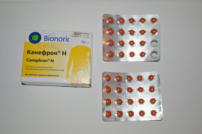 Таблетки Канефрон: инструкция по применению, состав, аналоги препарата