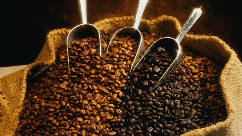 Самый дорогой кофе в мире: где и как производятся элитные сорта, сколько стоит самая дорогая чашка кофе