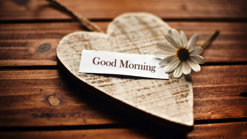 С добрым утром и хорошим днем! Прикольные и красивые пожелания доброго утра и хорошего дня в стихах и в прозе