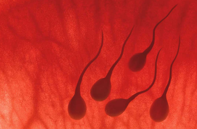Кровь в сперме (гемоспермия): причины и лечение патологии