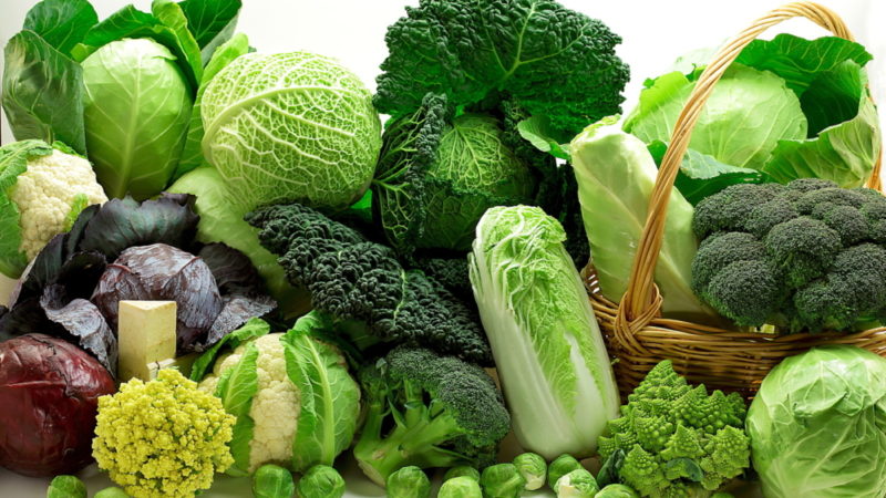 Сколько калорий в капусте разного вида, содержание витаминов и микроэлементов, полезные свойства овоща
