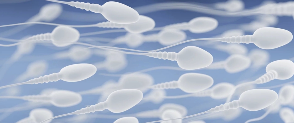 Густая сперма: причины, норма или патология, когда стоит обратиться к врачу