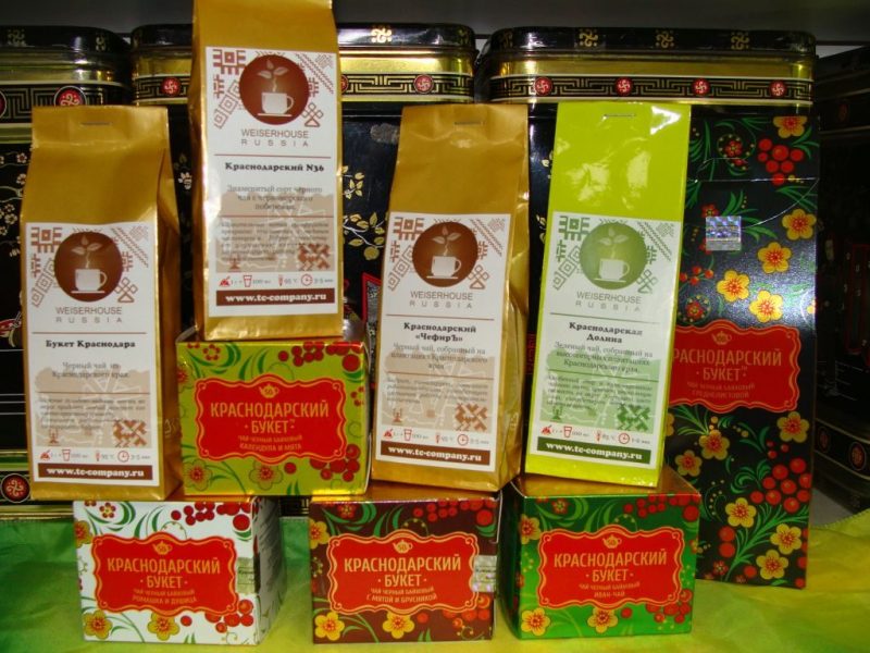 Краснодарский чай: виды, состав, где выращивают