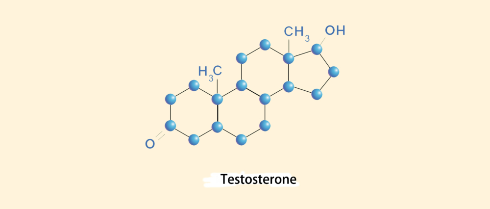 Тестостерон в таблетках: инструкция по применению препаратов для повышения тестостерона, показания и противопоказания, побочные эффекты