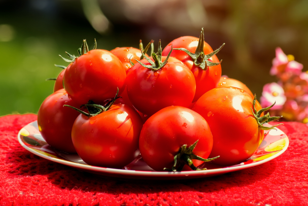 Сколько калорий в свежем помидоре, энергетическая ценность, полезные свойства овоща
