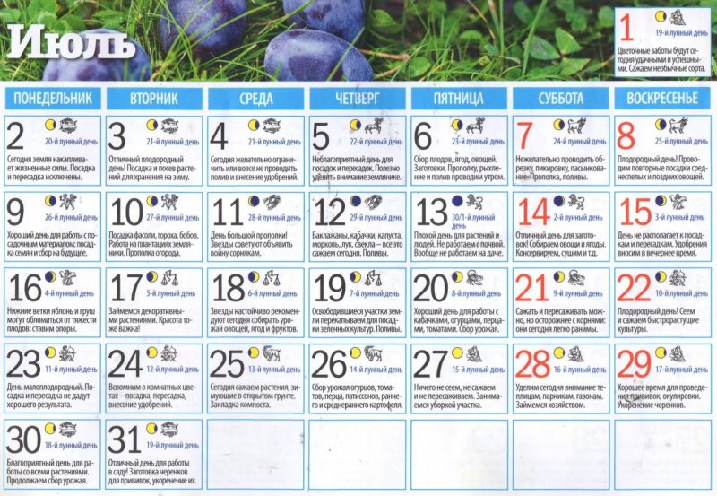 Лунный календарь огородника: общие принципы
