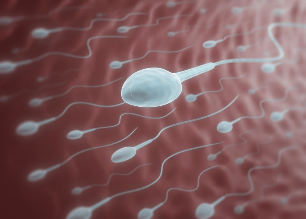 Густая сперма: причины, норма или патология, когда стоит обратиться к врачу