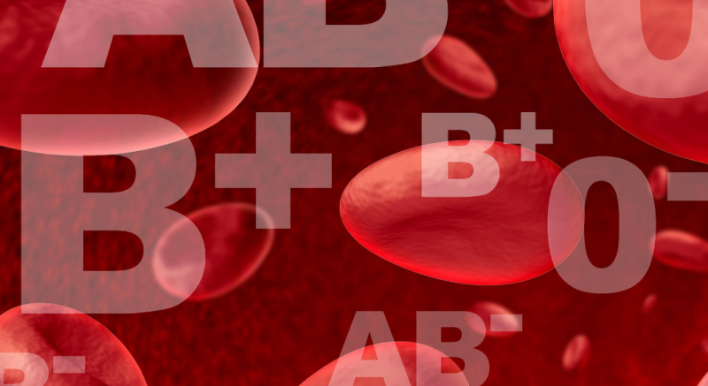 Совместимость групп крови при зачатии ребенка и при переливании