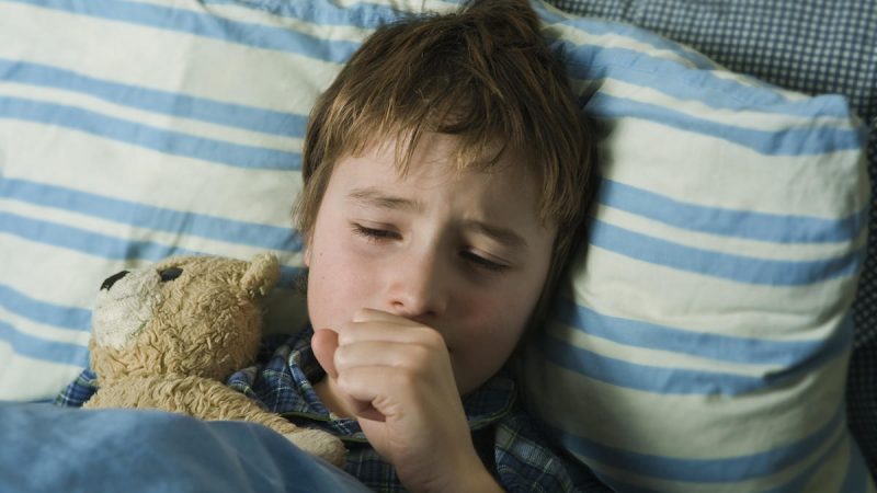 Симптомы пневмонии у взрослых и детей, виды, диагностика, возможные осложнения воспаления легких